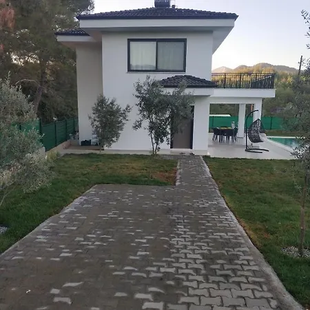 Oliva